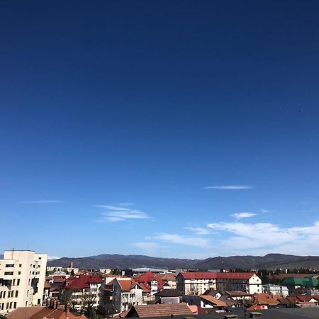 Tif Studio Ramnicu Valcea Bagian luar foto